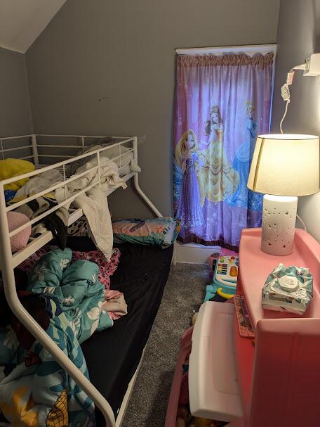 711 Randolph St, Jackson, MI 49203 - view of bedroom