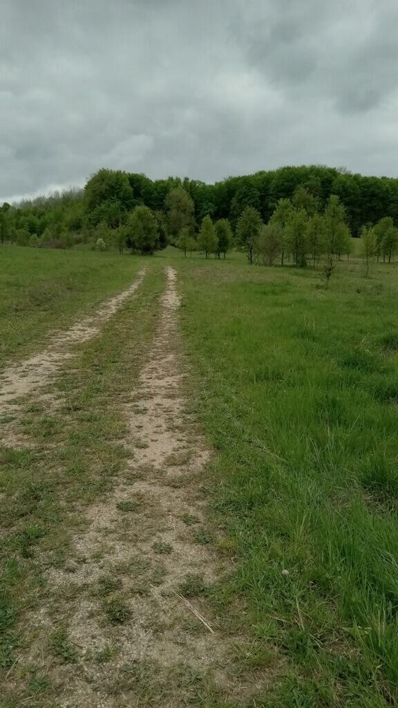 287 W Baseline Rd, Shelby, MI 49455