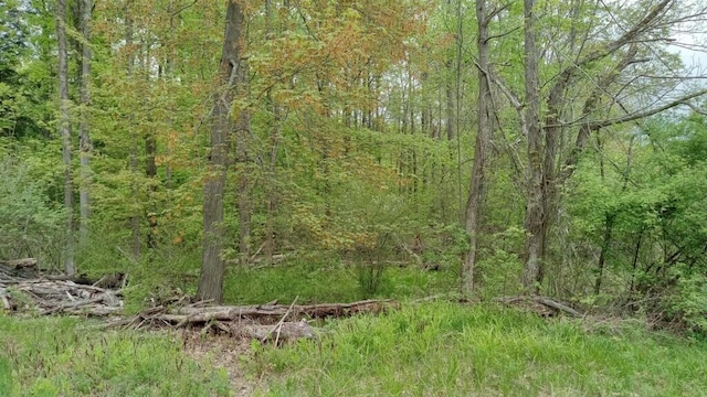 287 W Baseline Rd, Shelby, MI 49455