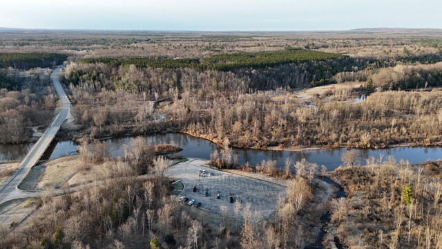 6780 N High Bridge Rd, Brethren, MI 49619 - aerial view of property and surrounding area with a forest and a large body of water