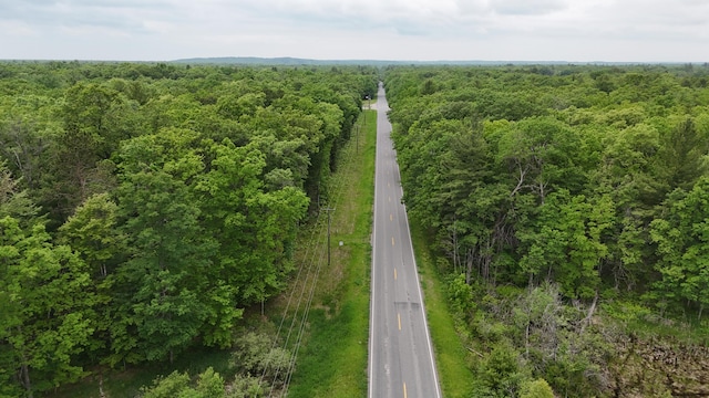 6780 N High Bridge Rd, Brethren, MI 49619 - aerial view of a forest