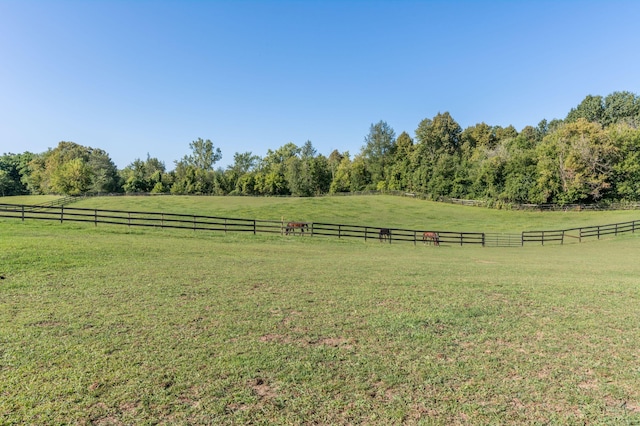 7295 Dutch Rd, Goodrich Vlg, MI 48438 - view of yard with fence and a rural view