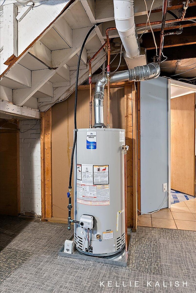 548 Pleasant St SE, Grand Rapids, MI 49503 - utilities featuring water heater