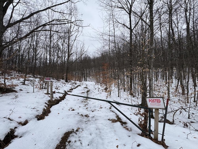 Woodland Dr, Cadillac, MI 49601