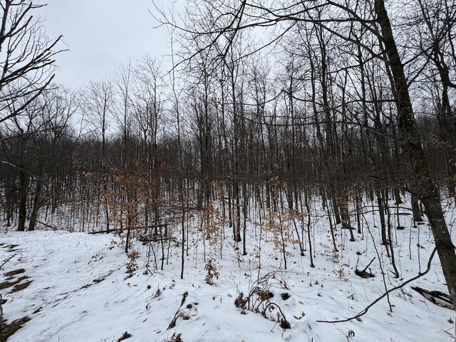 Woodland Dr, Cadillac, MI 49601