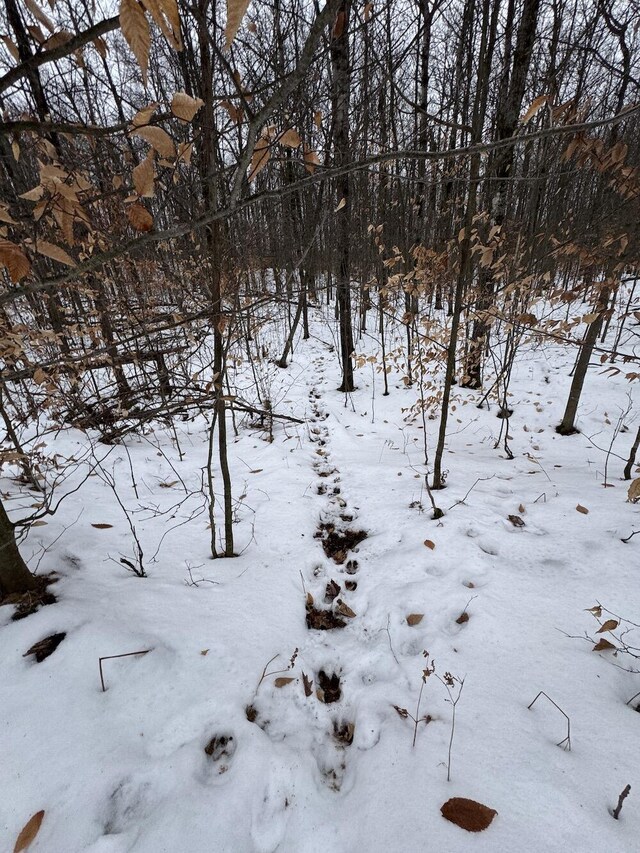 Woodland Dr, Cadillac, MI 49601