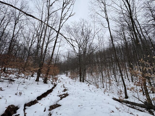Woodland Dr, Cadillac, MI 49601