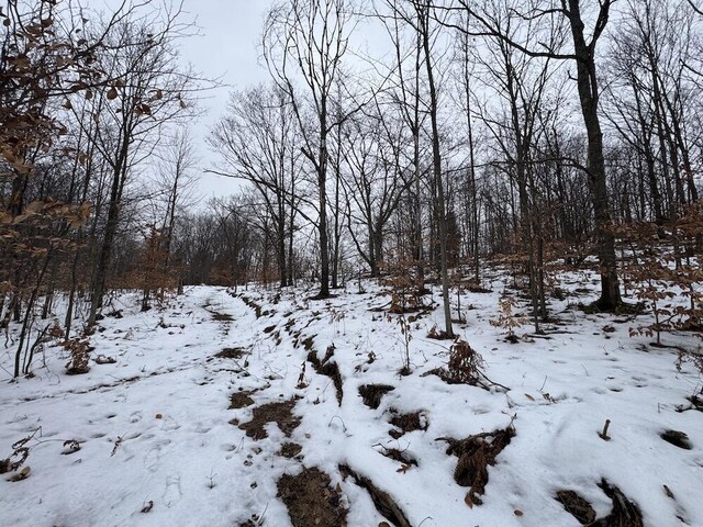 Woodland Dr, Cadillac, MI 49601