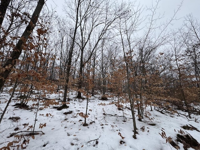 Woodland Dr, Cadillac, MI 49601