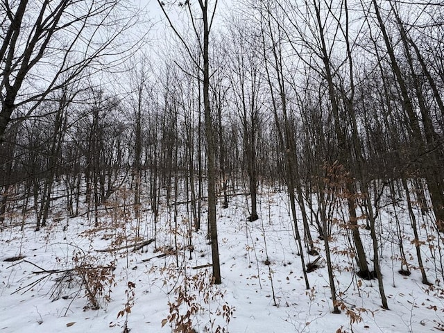 Woodland Dr, Cadillac, MI 49601
