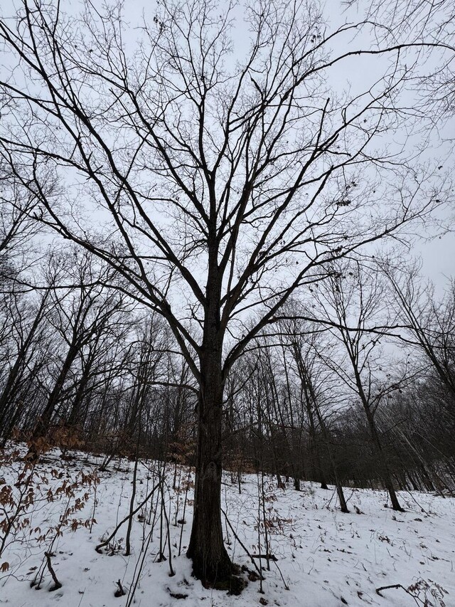 Woodland Dr, Cadillac, MI 49601