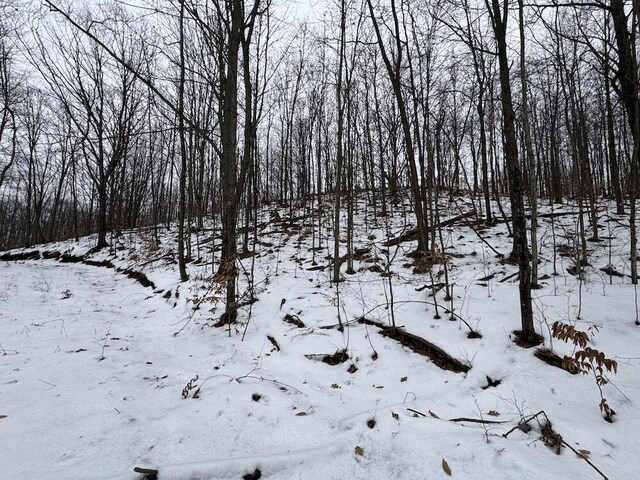 Woodland Dr, Cadillac, MI 49601