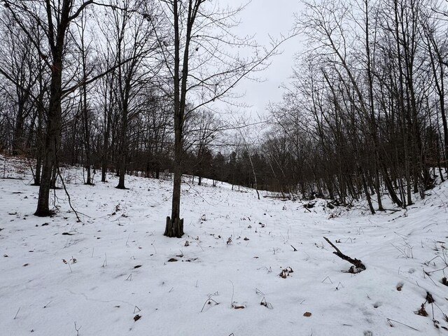 Woodland Dr, Cadillac, MI 49601