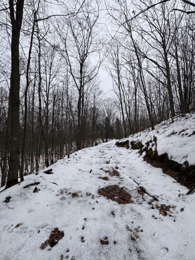 Woodland Dr, Cadillac, MI 49601