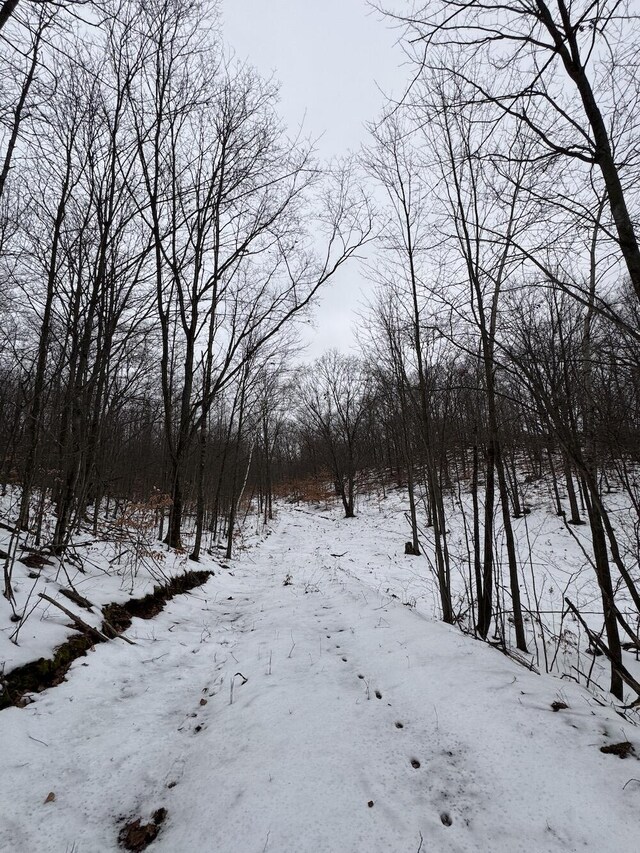 Woodland Dr, Cadillac, MI 49601