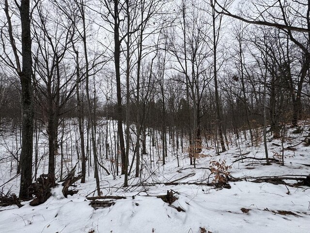 Woodland Dr, Cadillac, MI 49601