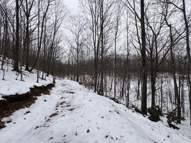 Woodland Dr, Cadillac, MI 49601