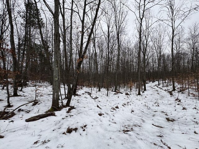 Woodland Dr, Cadillac, MI 49601