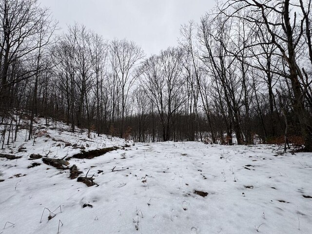 Woodland Dr, Cadillac, MI 49601