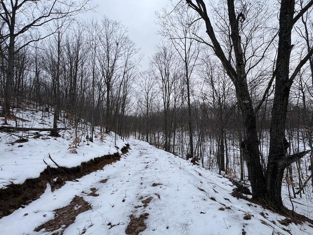 Woodland Dr, Cadillac, MI 49601