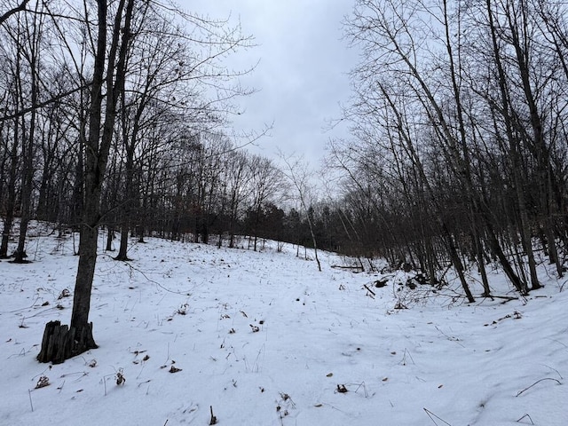 Woodland Dr, Cadillac, MI 49601
