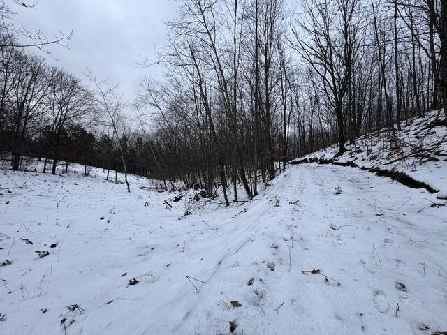 Woodland Dr, Cadillac, MI 49601
