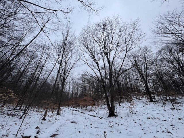 Woodland Dr, Cadillac, MI 49601