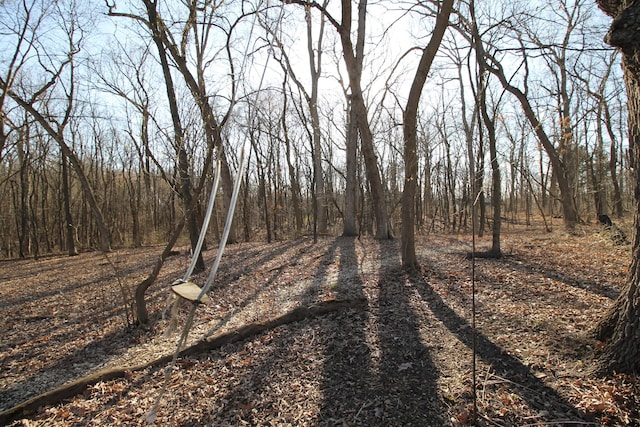 424 Little Lake Dr Unit 40, Ann Arbor, MI 48103 - view of road with a forest view