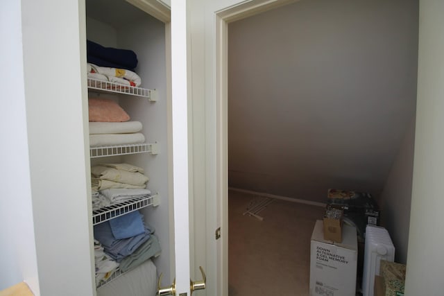 424 Little Lake Dr Unit 40, Ann Arbor, MI 48103 - view of closet