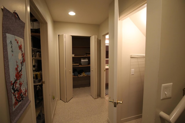 424 Little Lake Dr Unit 40, Ann Arbor, MI 48103 - corridor with recessed lighting and light colored carpet
