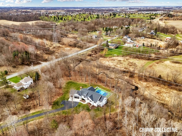 bird's eye view