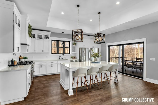kitchen with light countertops, a center island, dark wood finished floors, a raised ceiling, and appliances with stainless steel finishes