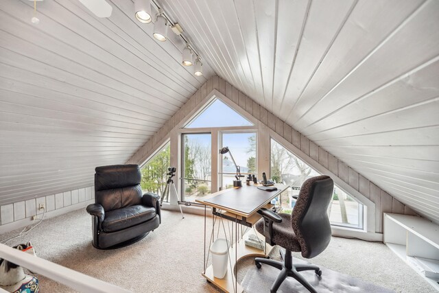 4117 Lake Shore Dr, New Buffalo, MI 49117 - home office featuring wooden walls, wood ceiling, track lighting, carpet, and lofted ceiling