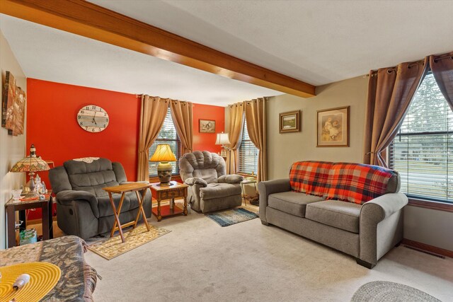 33028 Pokagon Hwy, Niles, MI 49120 - carpeted living area featuring baseboards and beamed ceiling
