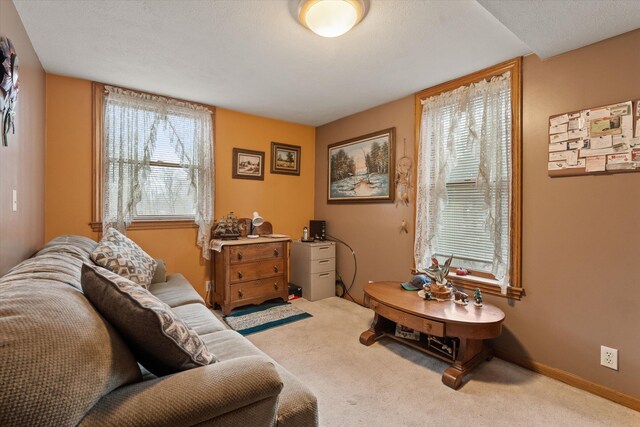 33028 Pokagon Hwy, Niles, MI 49120 - interior space featuring baseboards and carpet floors