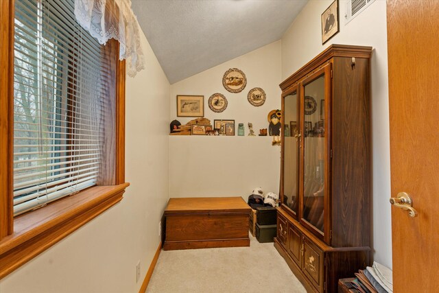 33028 Pokagon Hwy, Niles, MI 49120 - corridor featuring baseboards, lofted ceiling, visible vents, and carpet floors
