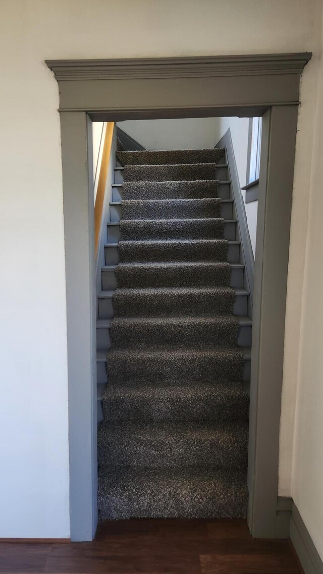 staircase with wood finished floors