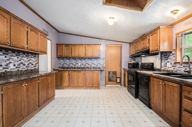 67173 Bulhand Rd, Cassopolis, MI 49031 - kitchen featuring crown molding, under cabinet range hood, lofted ceiling, dishwashing machine, and dark countertops