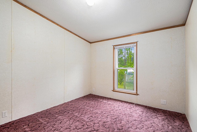 67173 Bulhand Rd, Cassopolis, MI 49031 - empty room featuring light colored carpet, ornamental molding, and vaulted ceiling