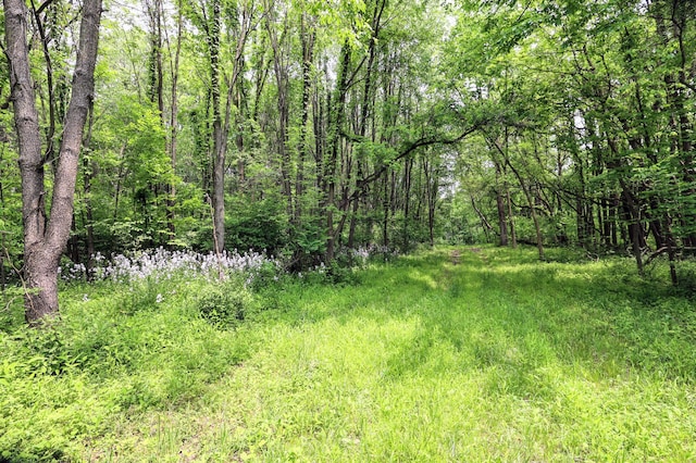 VL Doster Rd Lot # Wp001, Plainwell, MI 49080 - photo 1
