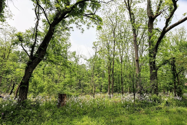 VL Doster Rd Lot # Wp001, Plainwell, MI 49080 - photo 2
