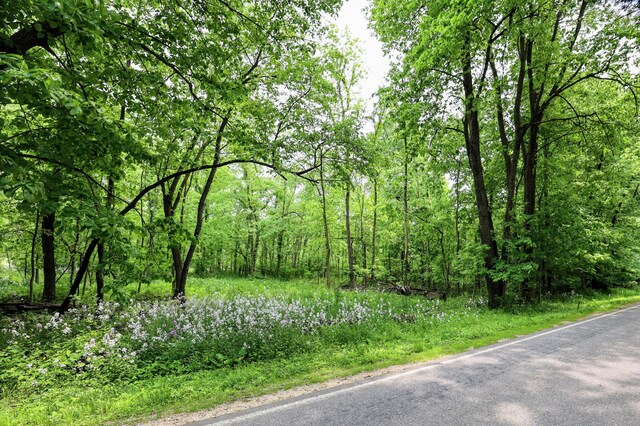 VL Doster Rd Lot # Wp001, Plainwell, MI 49080 - photo 3