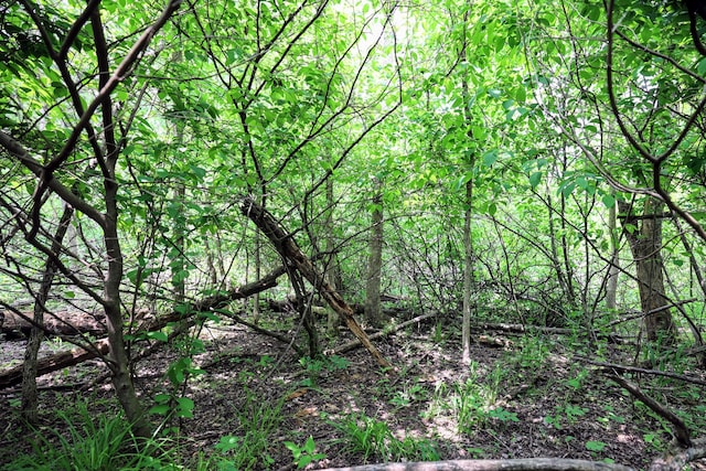 VL Doster Rd Lot # Wp001, Plainwell, MI 49080 - photo 4