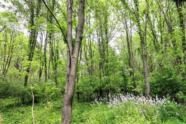 VL Doster Rd Lot # Wp001, Plainwell, MI 49080 - photo 5
