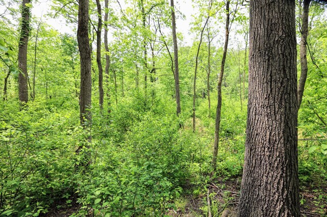 VL Doster Rd Lot # Wp001, Plainwell, MI 49080 - photo 8