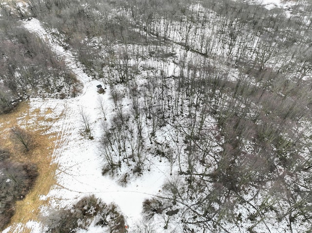 VL Doster Rd Lot # Wp001, Plainwell, MI 49080 - photo 9