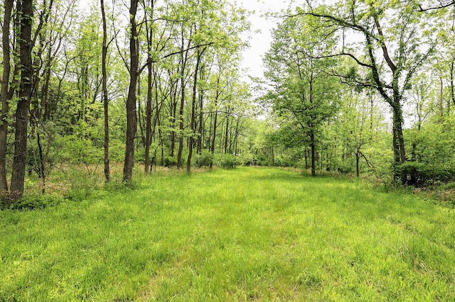 VL Doster Rd Lot # Wp001, Plainwell, MI 49080 - photo 10