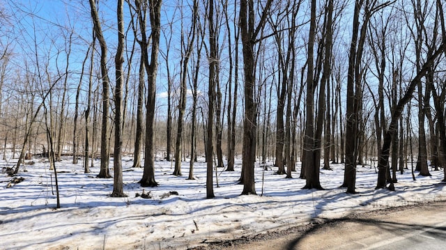 VL Doster Rd Lot # Wp001, Plainwell, MI 49080 - photo 11