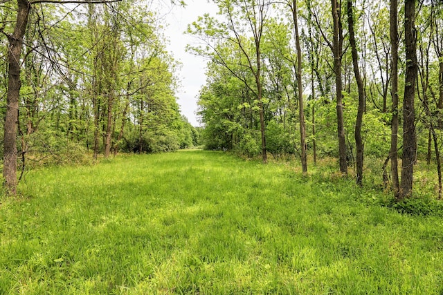 VL Doster Rd Lot # Wp001, Plainwell, MI 49080 - photo 12
