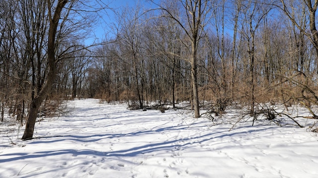VL Doster Rd Lot # Wp001, Plainwell, MI 49080 - photo 13